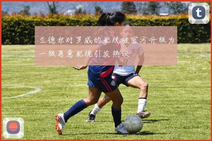 兰德尔对罗威的犯规被官方升级为一级恶意犯规引发热议